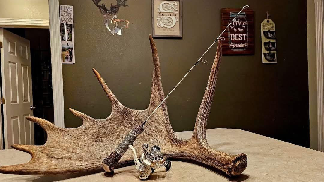 Antler Series Fishing Rod | Standard & Ice Options